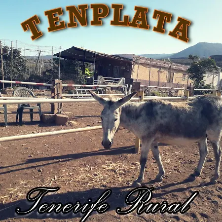 別荘 Tenplata *