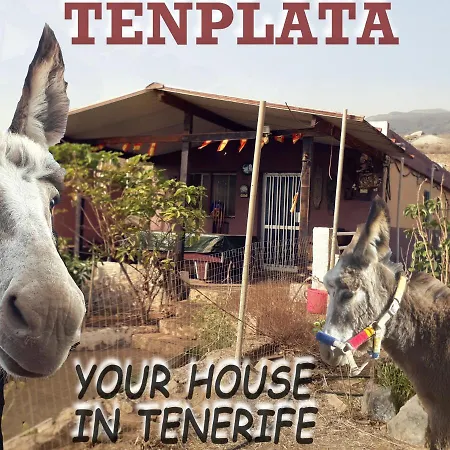 Tenplata Ferienhaus Tijoco de Abajo