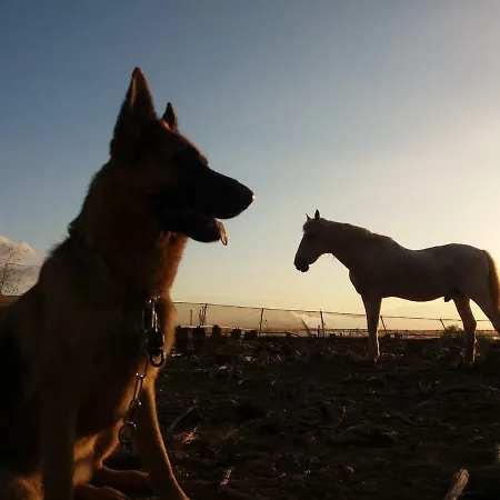 Tenplata Tijoco de Abajo