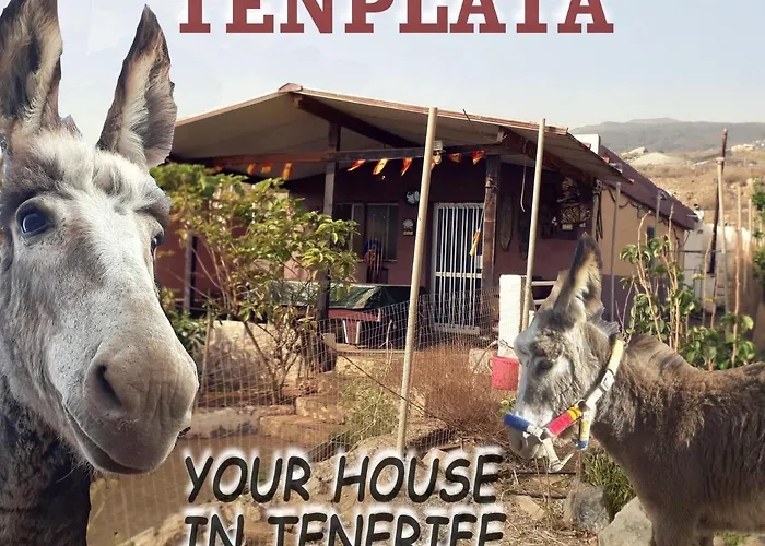 Tenplata Nyaraló Tijoco de Abajo