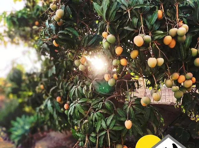 Ferienhaus Tenplata Tijoco de Abajo