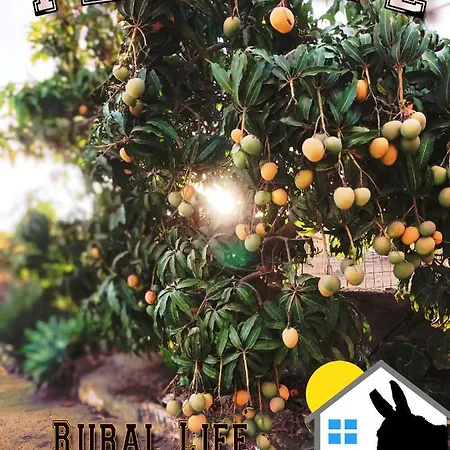 度假居 腾普拉塔度假屋 Tijoco de Abajo