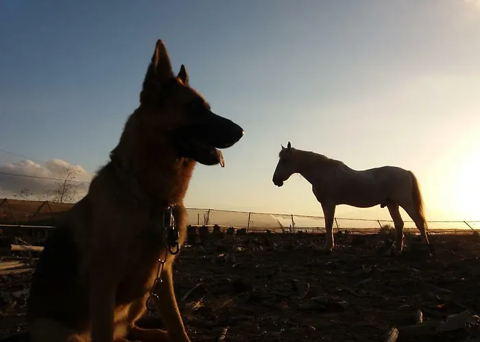 腾普拉塔度假屋 Tijoco de Abajo